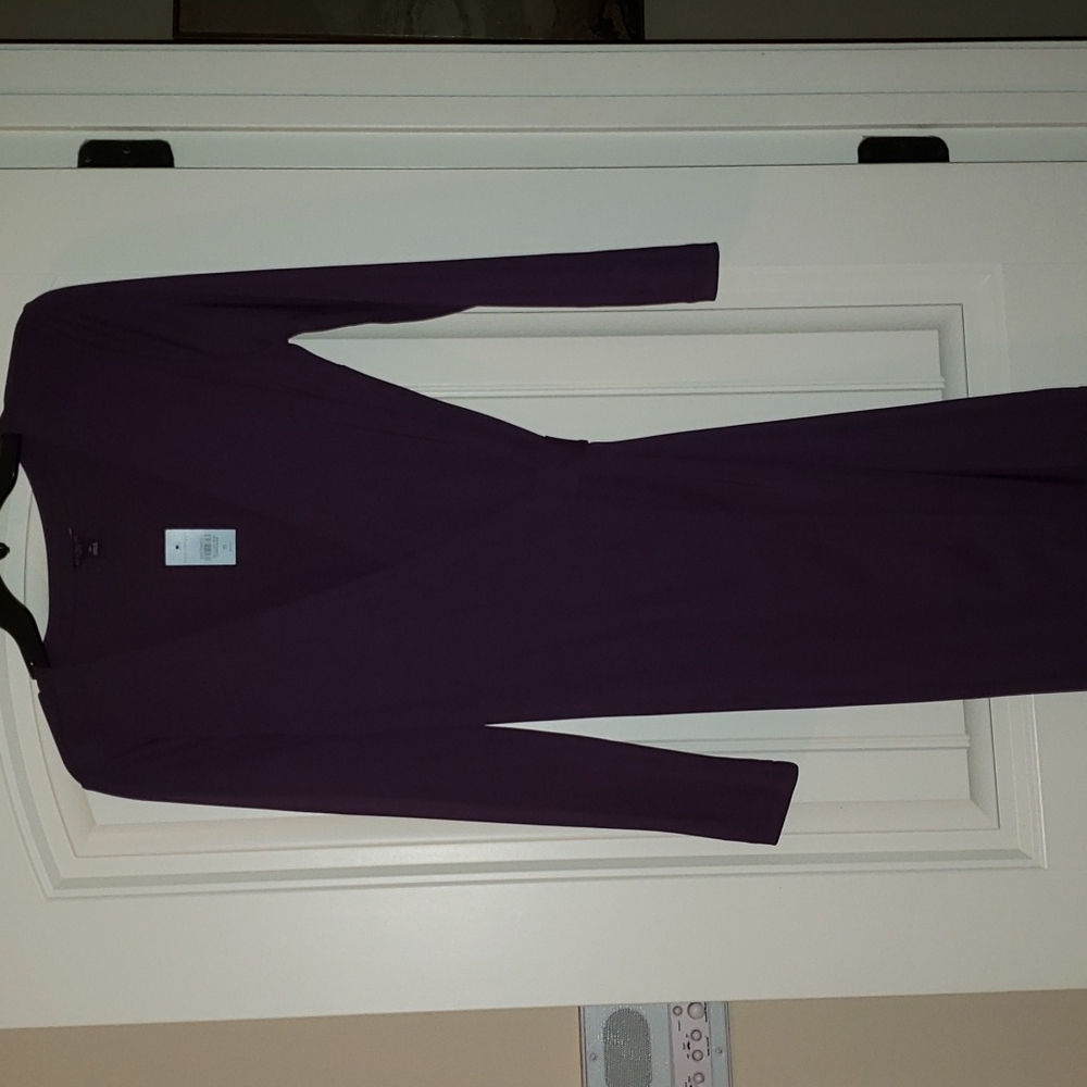 NWT Ann Taylor Plum Wrap Dress Size 10